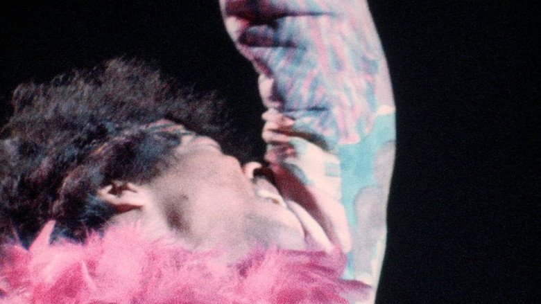 Monterey Pop backdrop 7