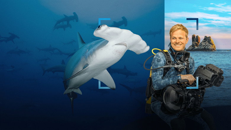 Hammerhead Sharks Up Close with Bertie Gregory backdrop 1