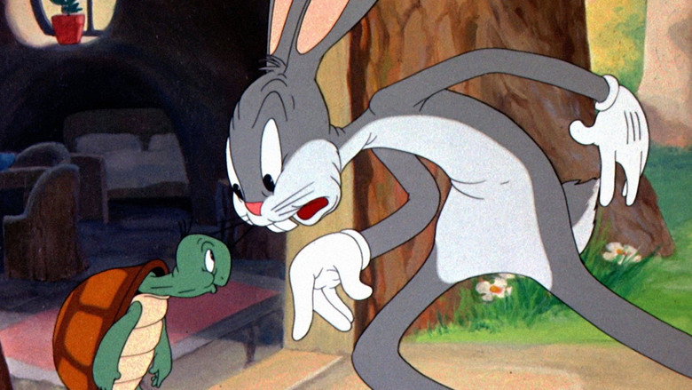 Tortoise Beats Hare backdrop 2