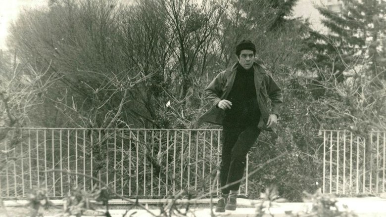 Mojtaba Mirzadeh