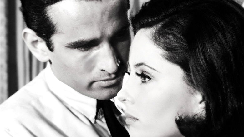 Episode #2.125 (pp-239)