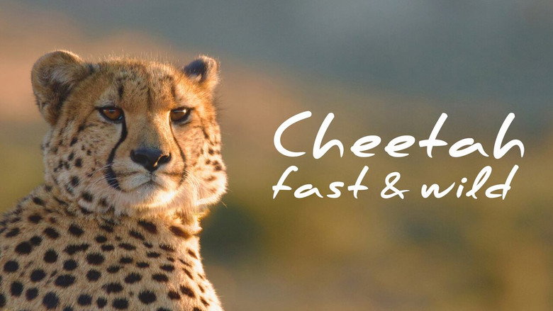 Cheetah: Fast and Wild