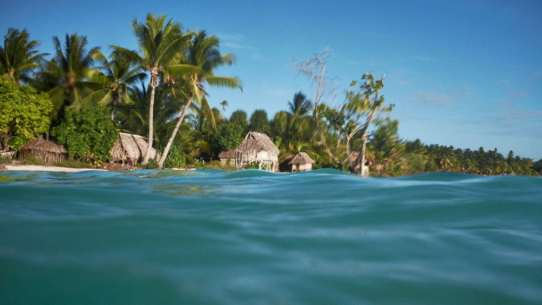 Anote's Ark backdrop 3