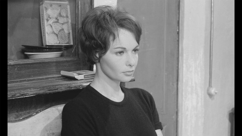 Michèle Verez