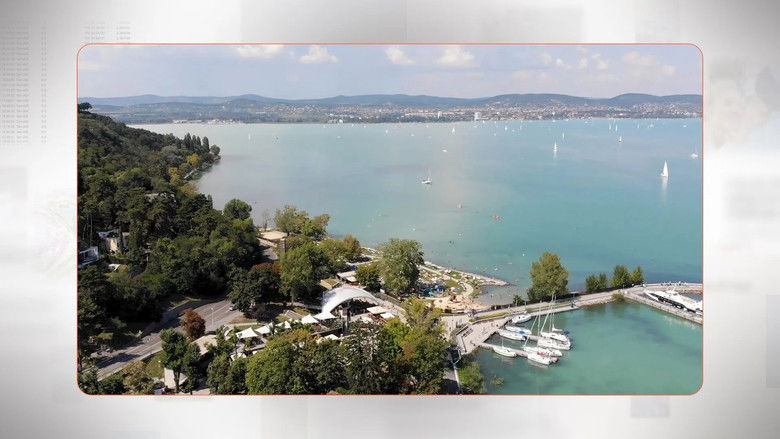 From Plumber to Oligarch: Hungary's Richest Man