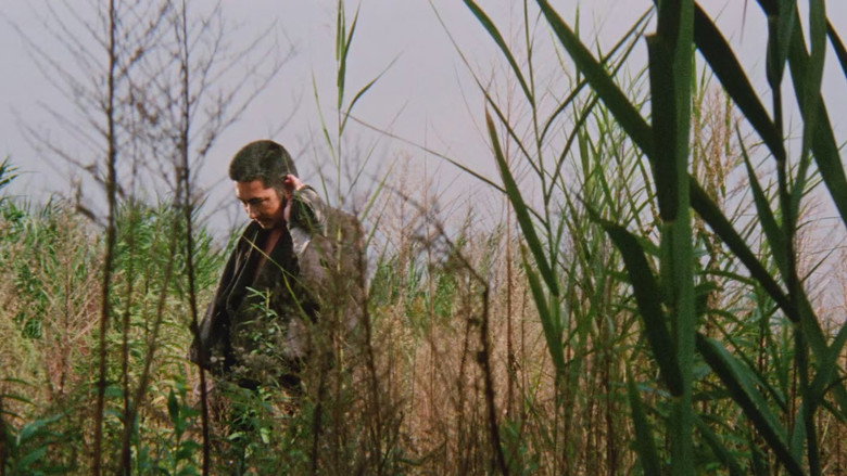 Zatoichi Meets the One-Armed Swordsman backdrop 8