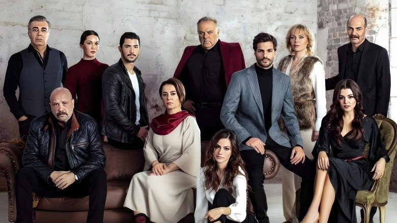 Halka backdrop 4