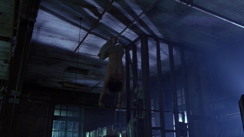 The Fly