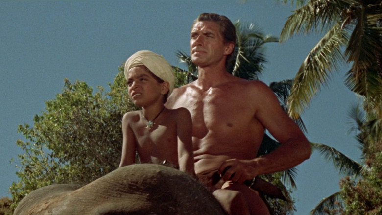 Tarzan Goes to India backdrop 7