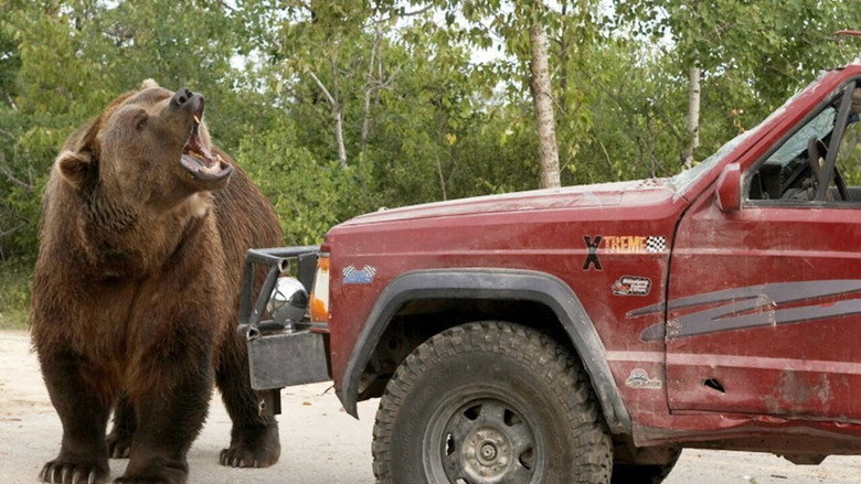 Grizzly Rage backdrop 2
