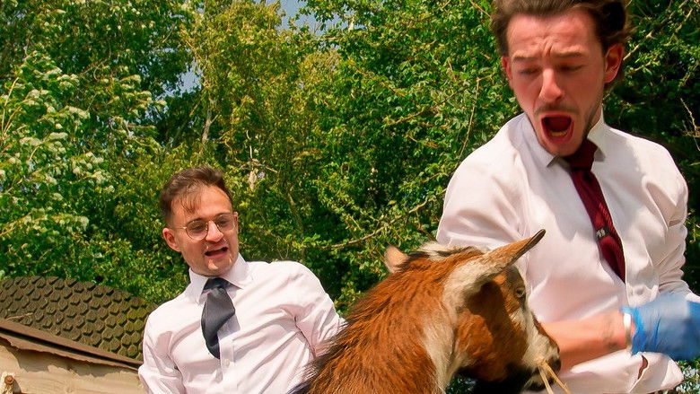 Discount Buying: Take Two