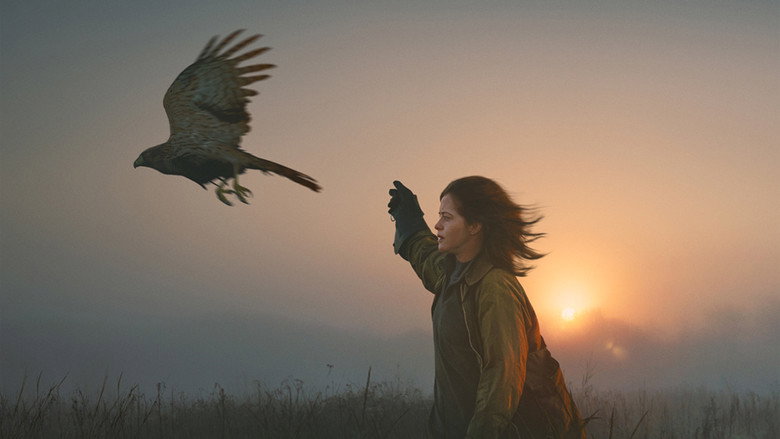 H Is for Hawk backdrop 2