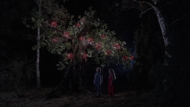 Bye Bye, Red Riding Hood backdrop 3
