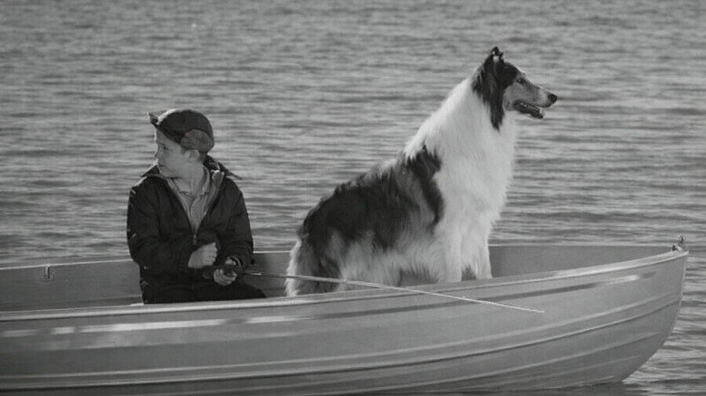 Lassie: Disappearance