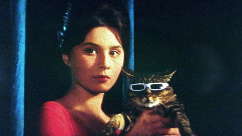 When the Cat Comes backdrop 3