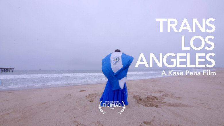 Trans Los Angeles backdrop 8