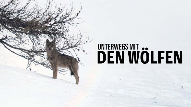 Wolf Walk backdrop 9