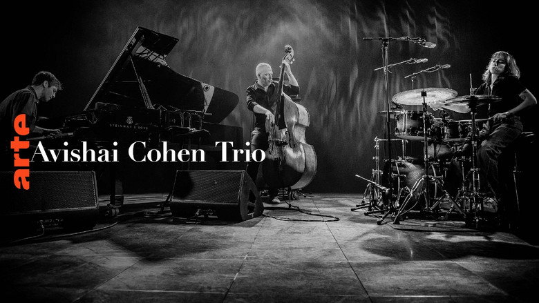 Avishai Cohen Trio Leverkusener Jazztage 2024 backdrop 2