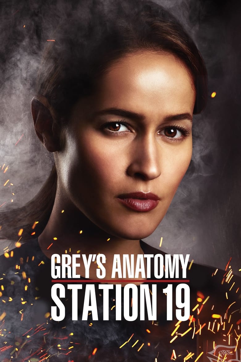 Grey's Anatomy : Station 19 streaming – Cinemay