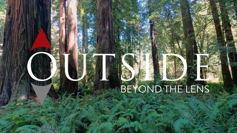 California North Coast Redwoods
