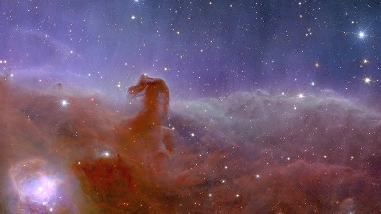 Il cosmo. Alla scoperta dell'universo backdrop 2