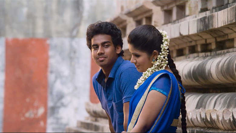 Sagaa backdrop 2