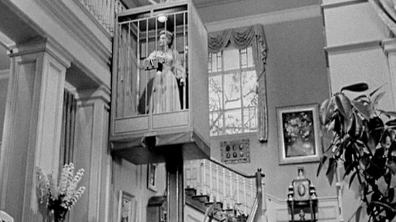 Lady in a Cage backdrop 4