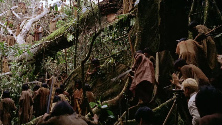 Fitzcarraldo backdrop 3