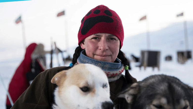 Good Tracks or Bad Tracks