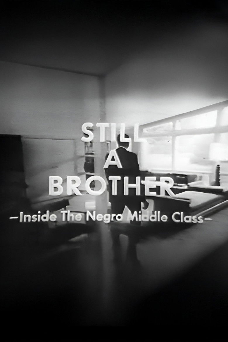 Still A Brother: Inside the Negro Middle Class