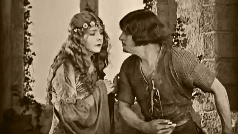 Robin Hood backdrop 3