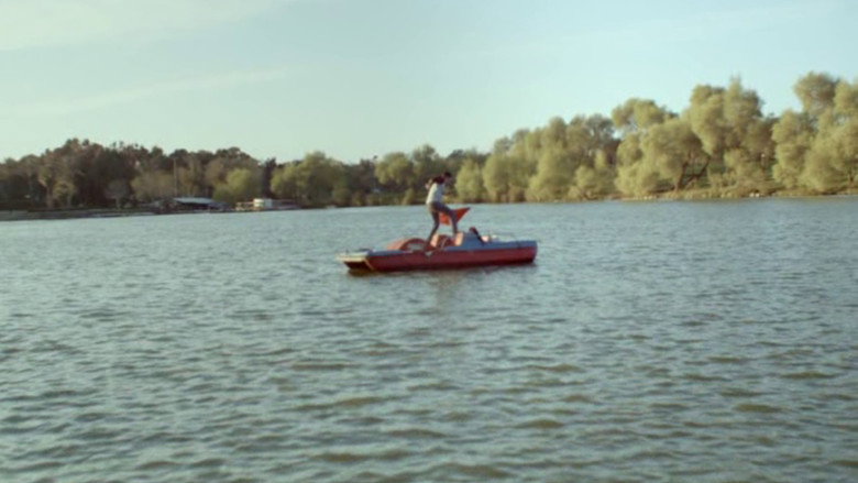 Cats on a Pedal Boat backdrop 2