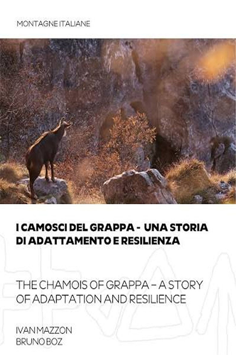 THE CHAMOIS OF GRAPPA - A STORY OF ADAPTATION AND RESILIENCE