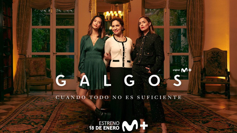 Galgos backdrop 6