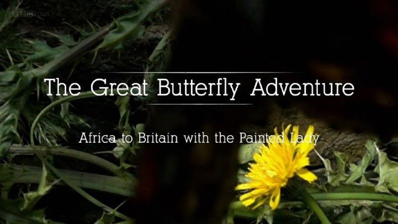 The Great Butterfly Adventure: Africa to Britain with the Painted Lady線上电影看完整版