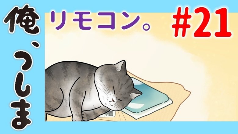 WEB Animation - #21 The remote controller