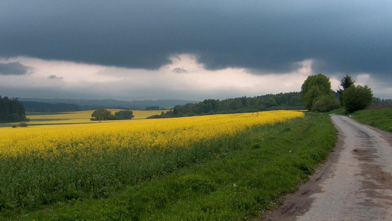 Zpět k pramenům backdrop 3