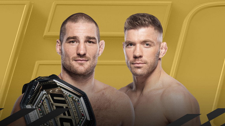UFC 297: Strickland vs. du Plessis backdrop 3
