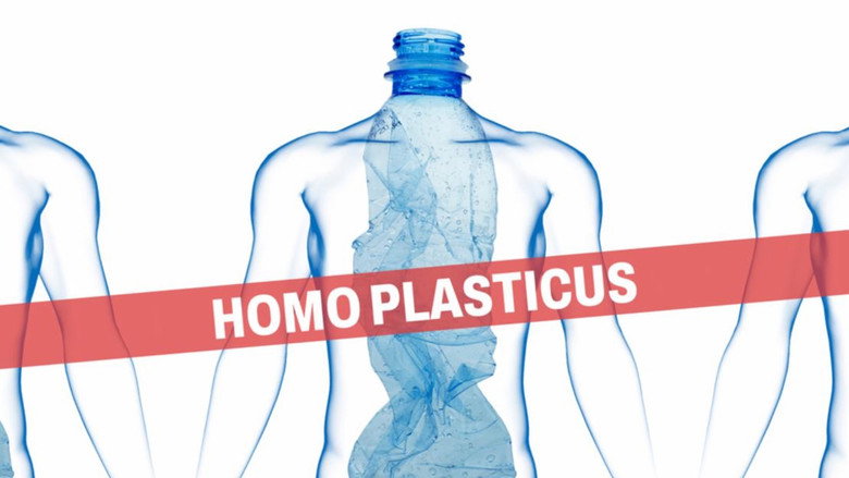 Homo Plasticus, l'invasion silencieuse des microplastiques backdrop 9