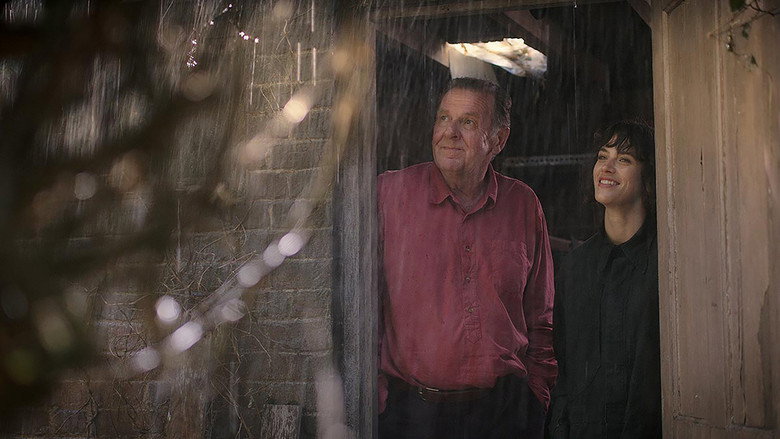 This Beautiful Fantastic backdrop 9