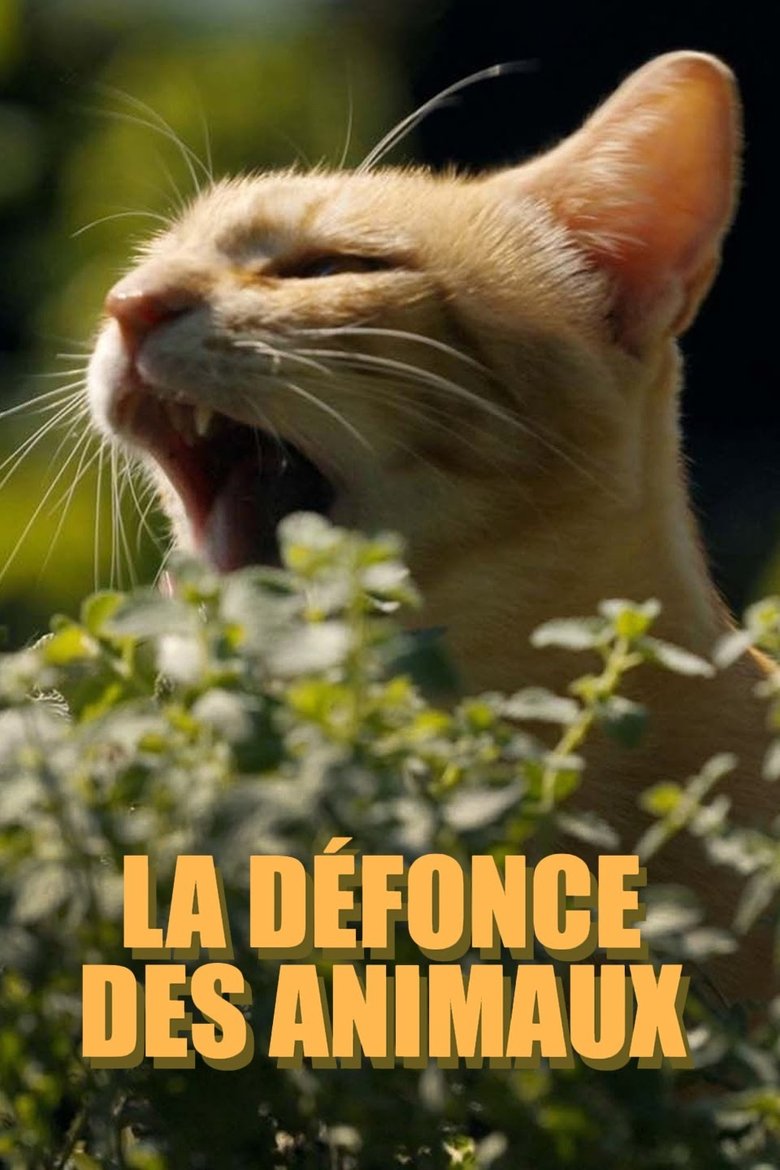 La défonce des animaux