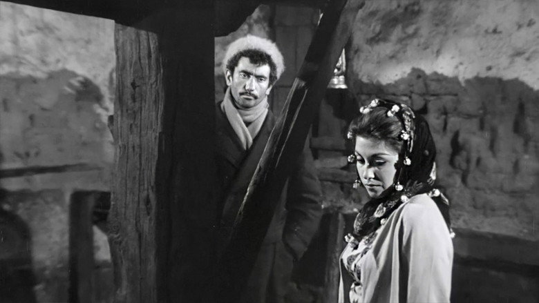 Bride of the Earth backdrop 3