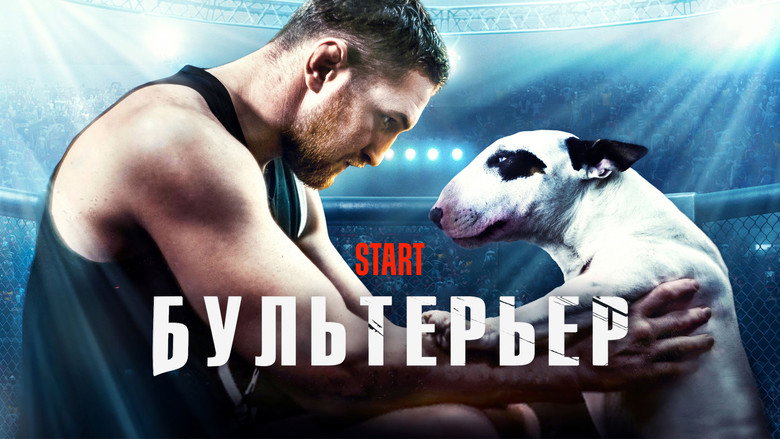 Bullterrier backdrop 1