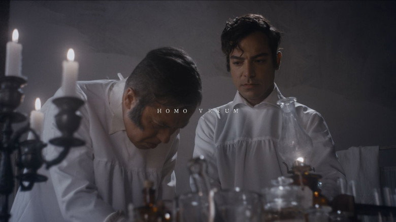 Homo Verum backdrop 5