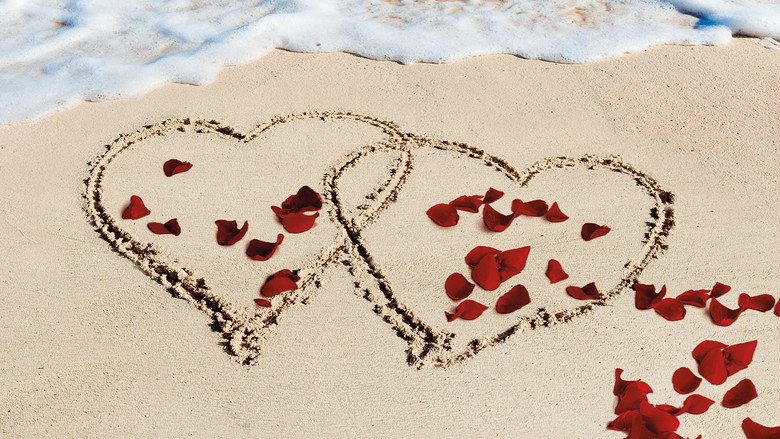 Bachelor in Paradise backdrop 6