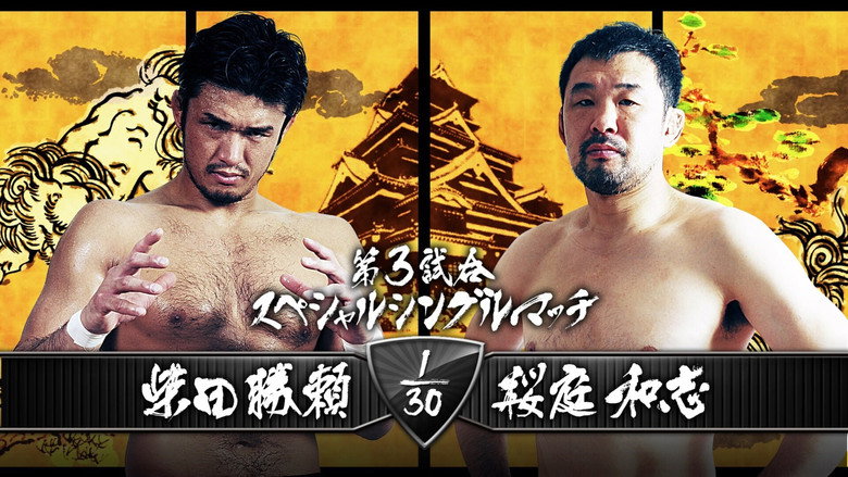 NJPW Dominion 7.5 in Osaka-jo Hall 2015 backdrop 6