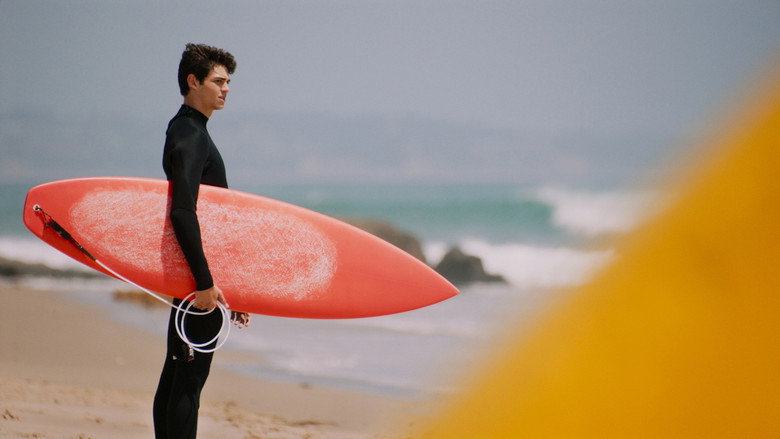 SPF-18 backdrop 4