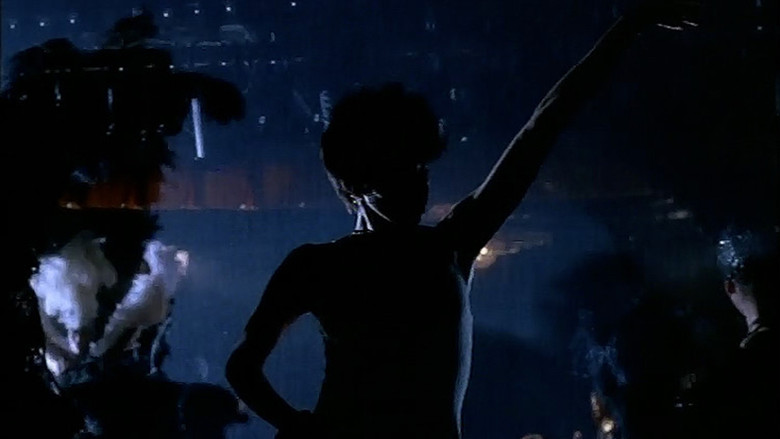 The Blackout backdrop 5