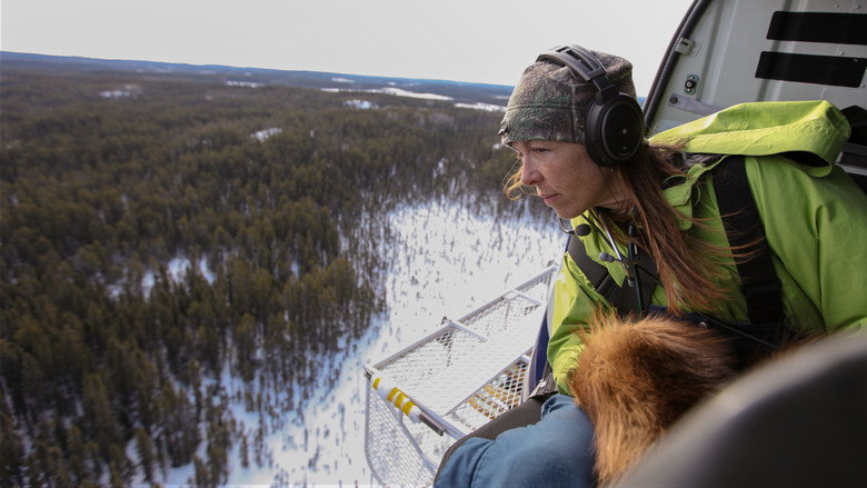 Dr. Oakley, Yukon Vet backdrop 9