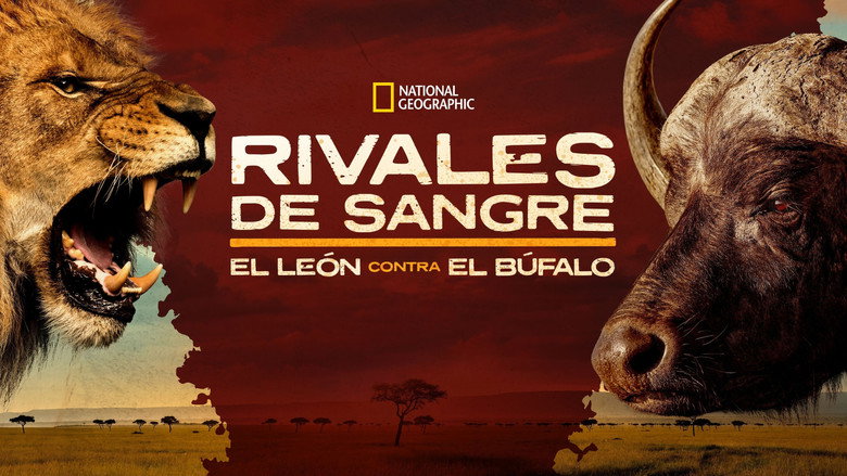 Blood Rivals: Lion vs Buffalo backdrop 7